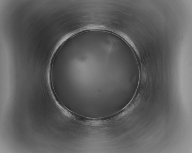 X0000111241245200907021405