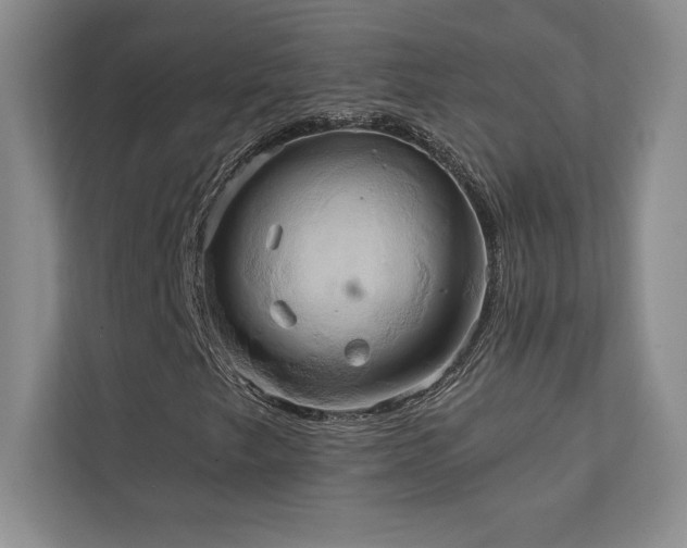 X0000111241249200907021404