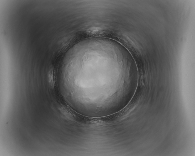 X0000111241250200907021404