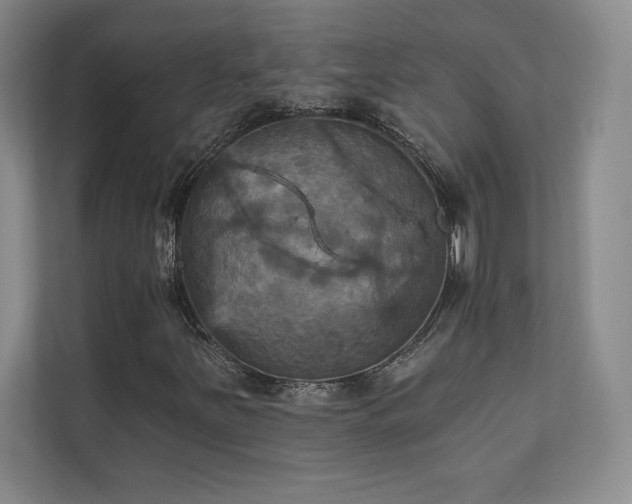 X0000111241251200907021404