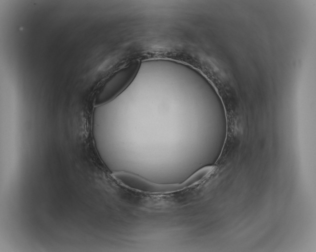 X0000111241253200907021404