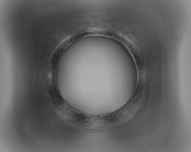 X0000111241254200907021404