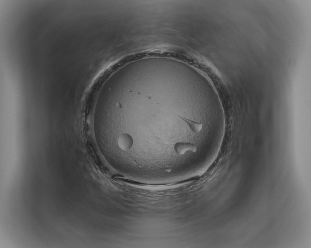 X0000111241256200907021404