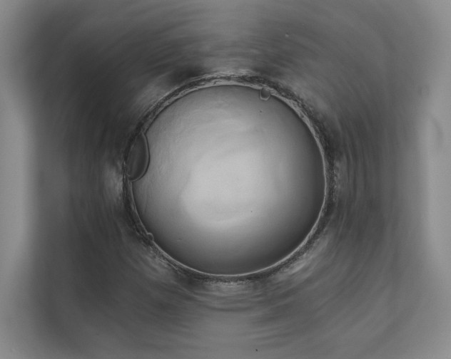 X0000111241257200907021404
