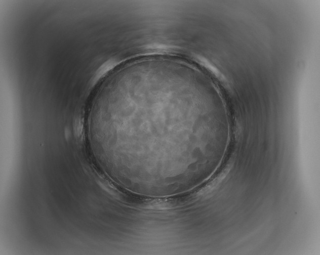 X0000111241259200907021404