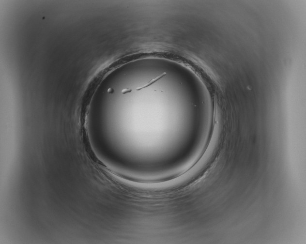 X0000111241261200907021404