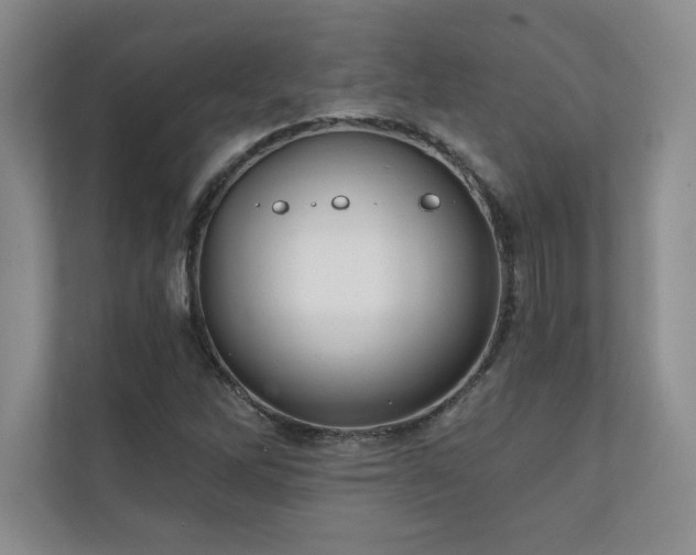 X0000111241262200907021404