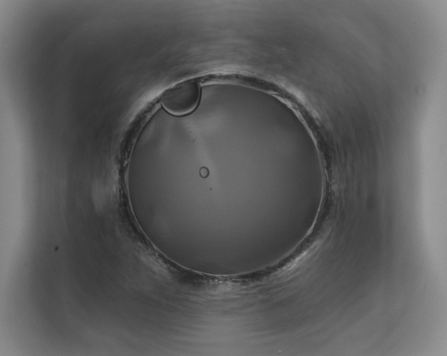 X0000111241263200907021404