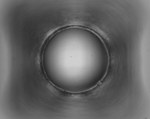 X0000111241264200907021404