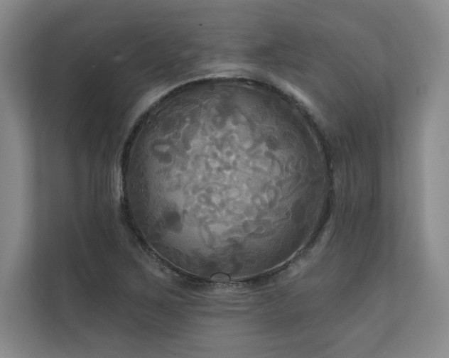 X0000111241267200907021404
