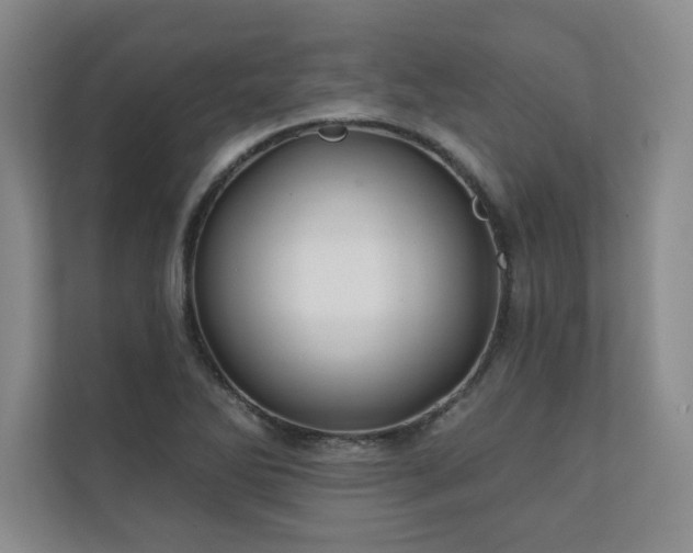 X0000111241270200907021404