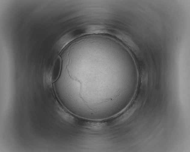 X0000111241273200907021404