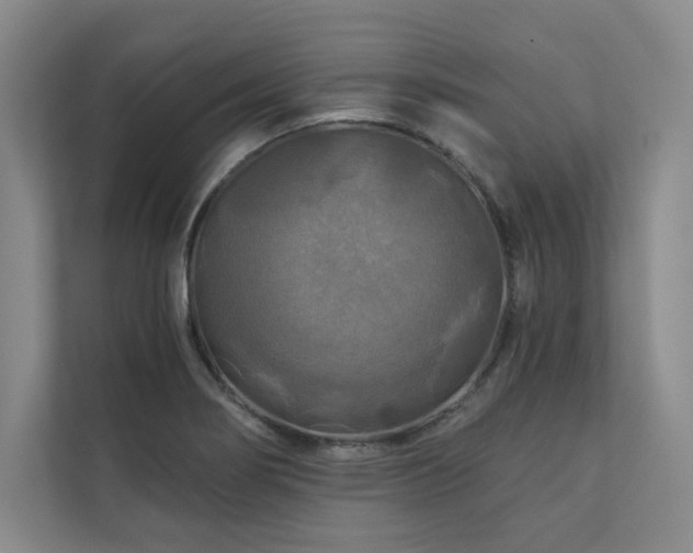 X0000111241274200907021404