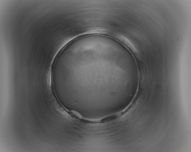 X0000111241276200907021404
