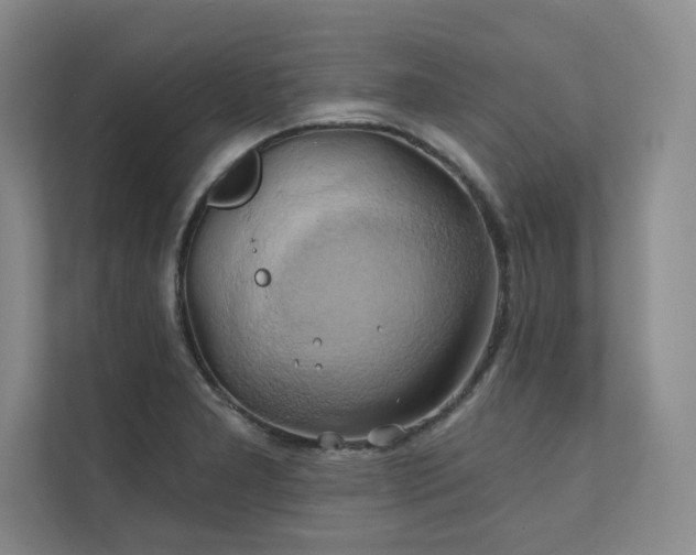 X0000111241277200907021404