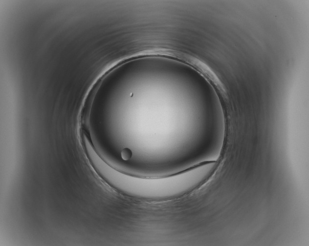 X0000111241284200907021403