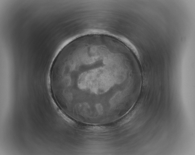 X0000111241287200907021403