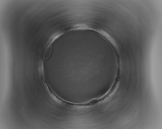 X0000111241289200907021403