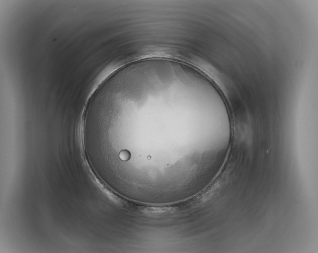 X0000111241290200907021403