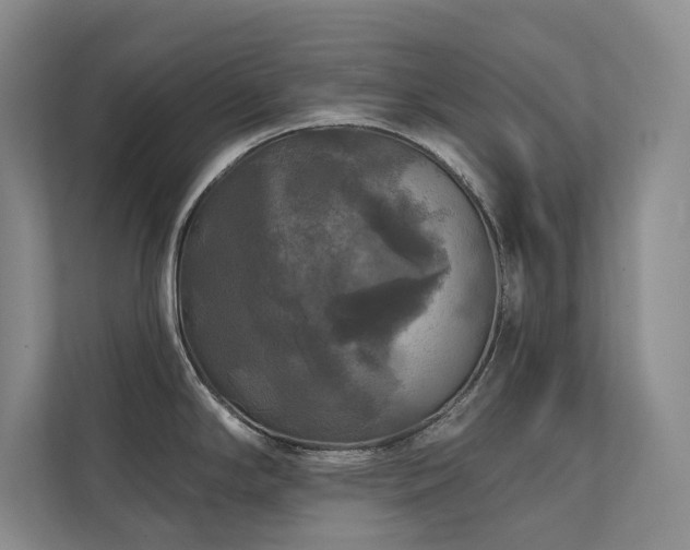 X0000111241294200907021403