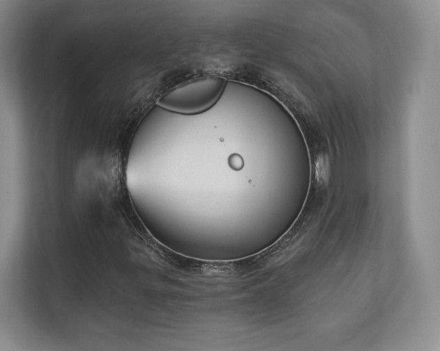 X0000111241299200907021403