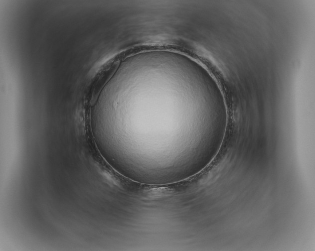 X0000111241304200907021403