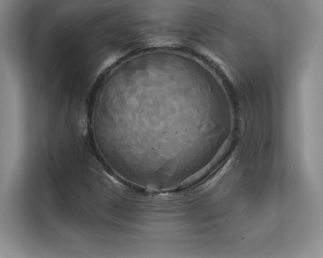 X0000111241306200907021403