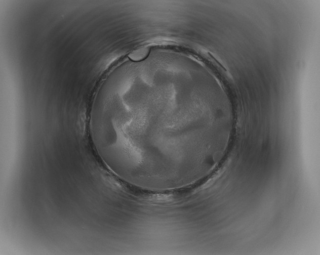 X0000111241313200907021403