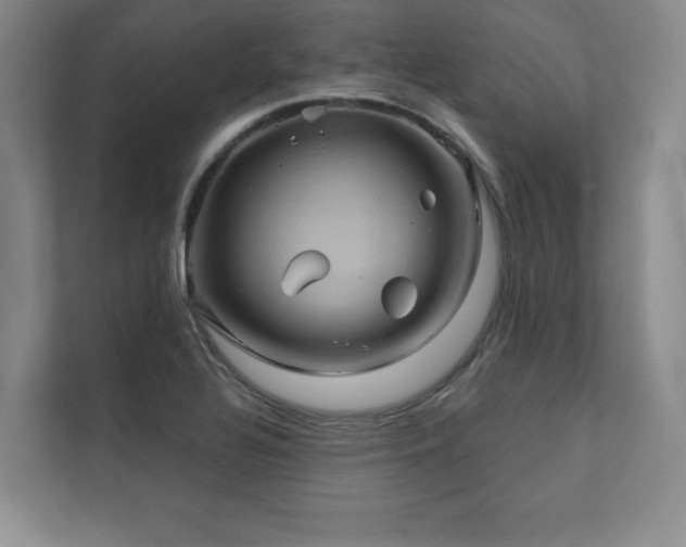 X0000111241320200907021403