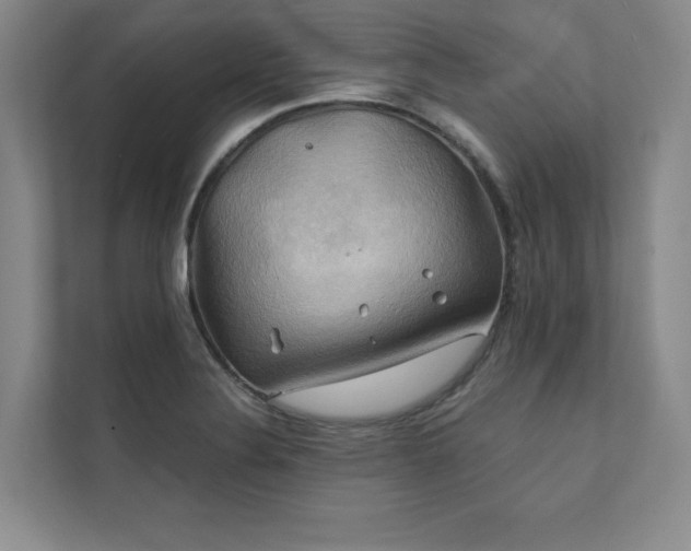 X0000111241324200907021403