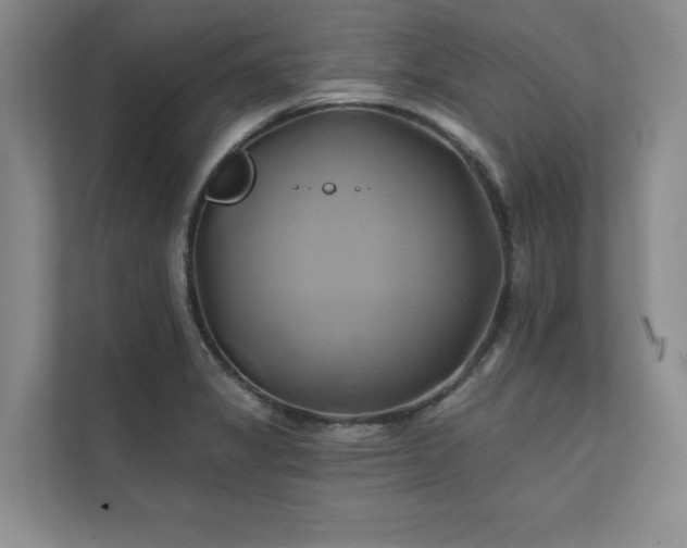 X0000111241325200907021403