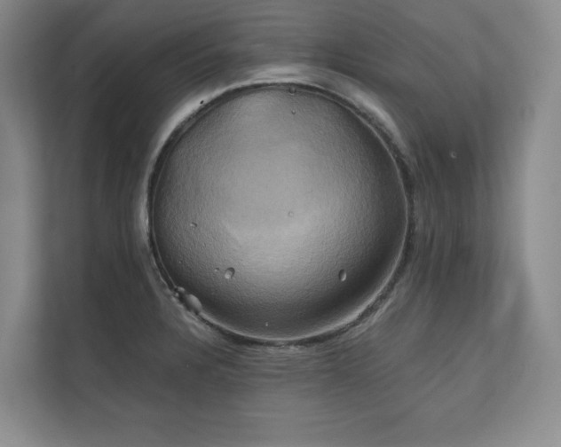 X0000111241328200907021403