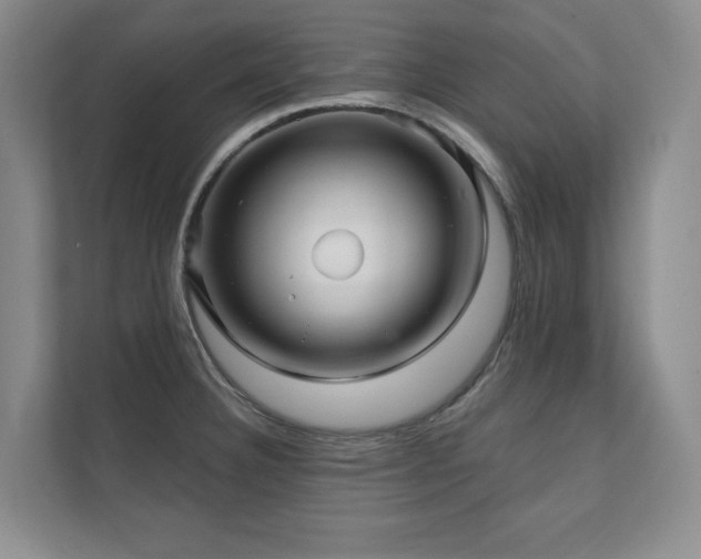X0000111241332200907021403