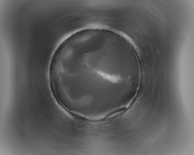 X0000111241335200907021403
