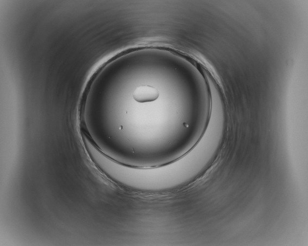 X0000111241336200907021403