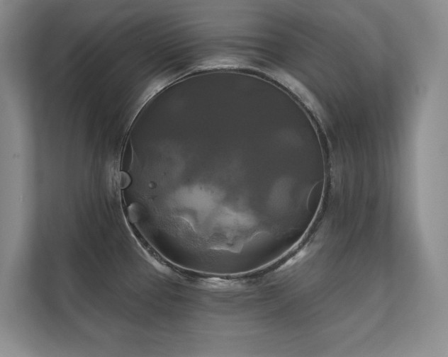 X0000111241337200907021403