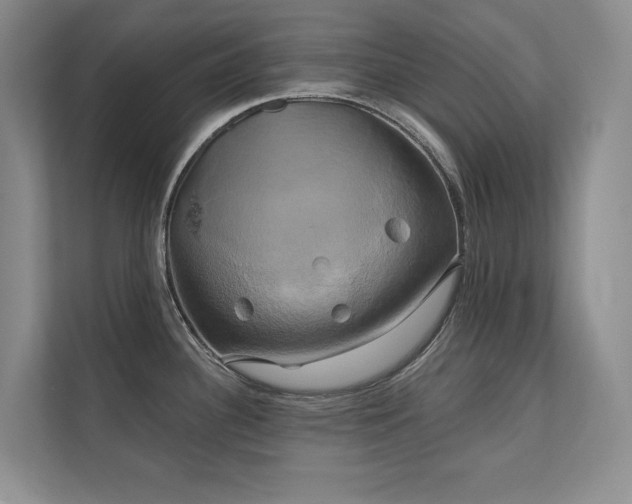 X0000111241340200907021403