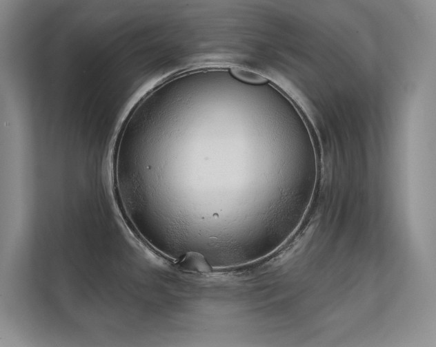 X0000111241341200907021403
