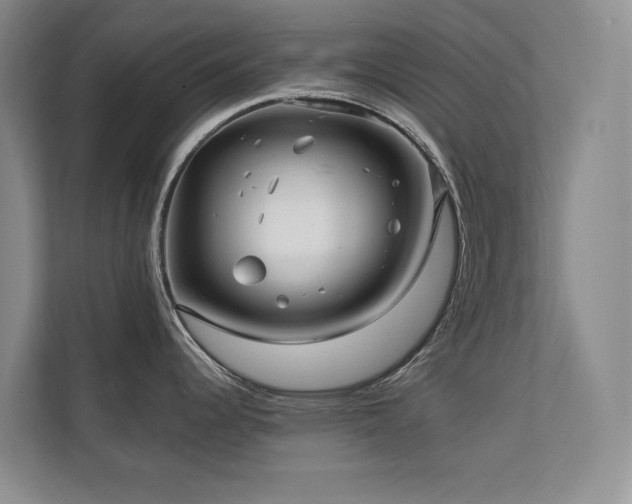 X0000111241344200907021403