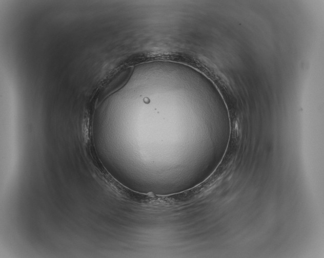 X0000111241348200907021403