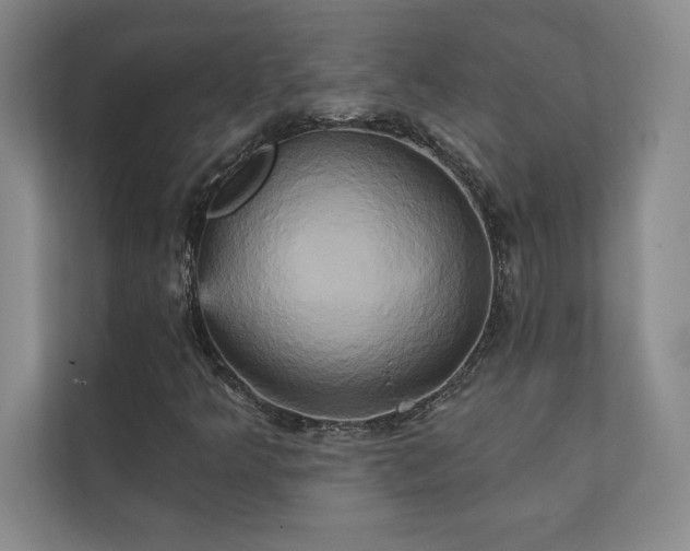 X0000111241349200907021402
