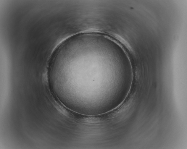 X0000111241356200907021402