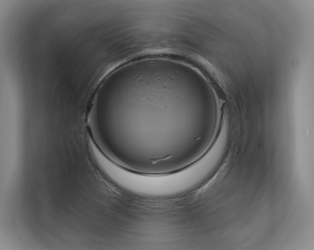 X0000111241361200907021402