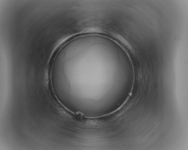 X0000111241364200907021402