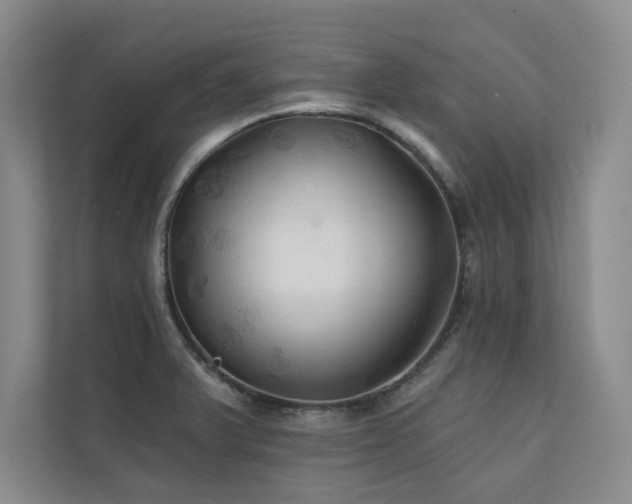X0000111241375200907021402