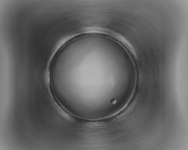 X0000111241376200907021402