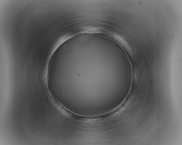 X0000111241378200907021402