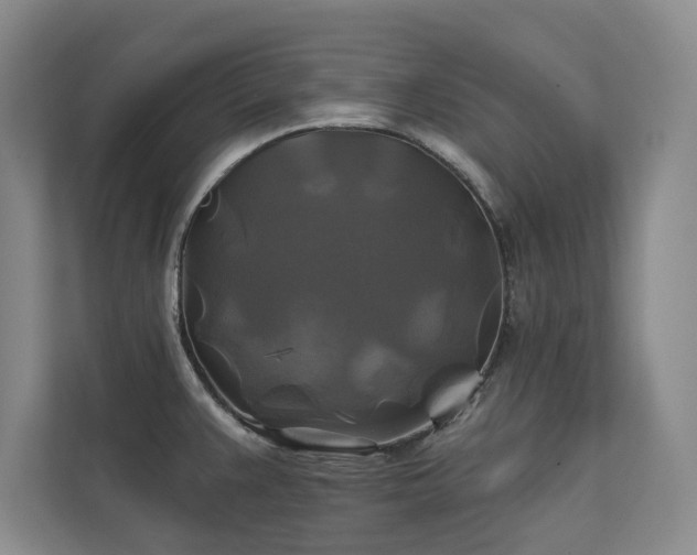 X0000111241383200907021402