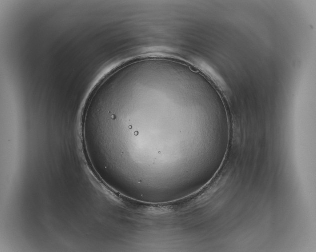 X0000111241384200907021402