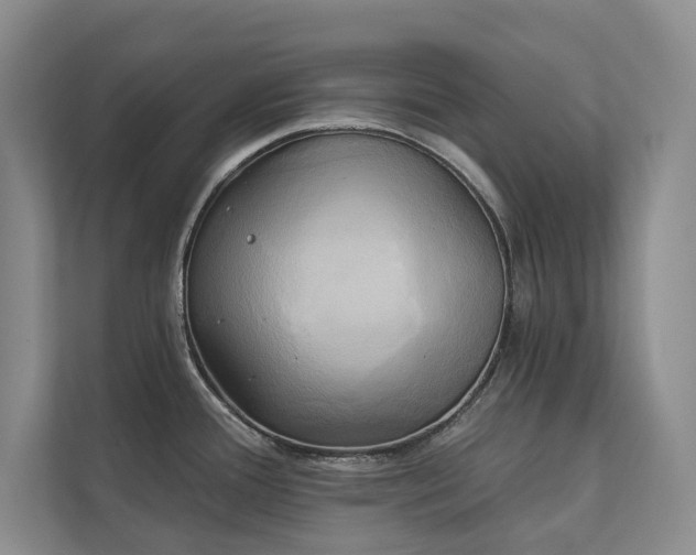 X0000111241388200907021402